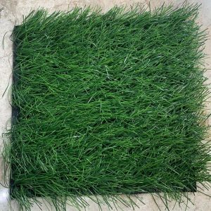 Rumput Sintetis Sports JM - 50